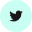 Twitter icon