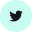 Twitter icon
