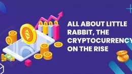 Little Rabbit Crypto