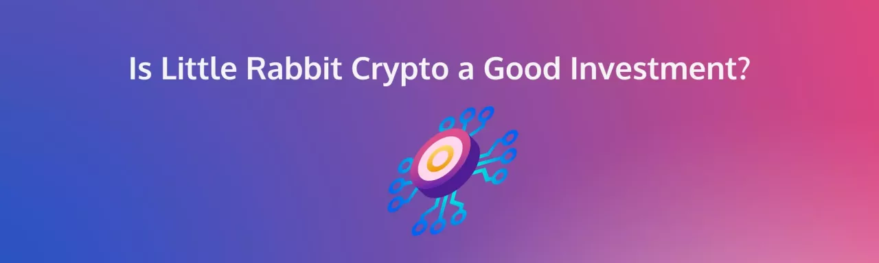 Is Little Rabbit Crypto a Good Investment