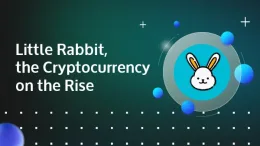 little rabbit crypto